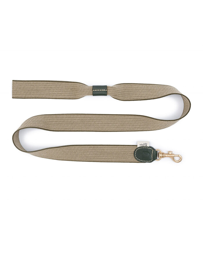 Buddys James dog leash green