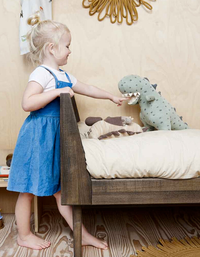 Theo Dinosaur