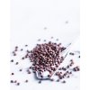 Chinese pink radish seeds bio 200g