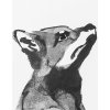 Wall art print Fox