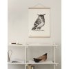 Print aquarelle "Owl"