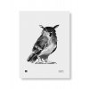 Wall art print Owl