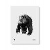 Print aquarelle "Gentle Bear"