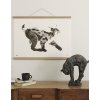 Wall art print Wolf