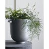Planter Foem Raw
