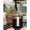 Amber candle Bamboo & Bergamot 12.5 oz.