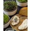Microgreens náhradní gel INGREEN set 10 ks