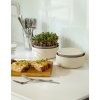 Klíčící miska Velká farma Microgreens + Regrow slonová kost