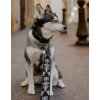 Buddys Etna black collar