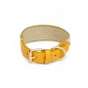 Buddys James yellow collar