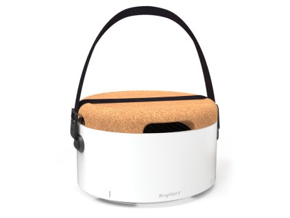 vyr 419web 2415600 001