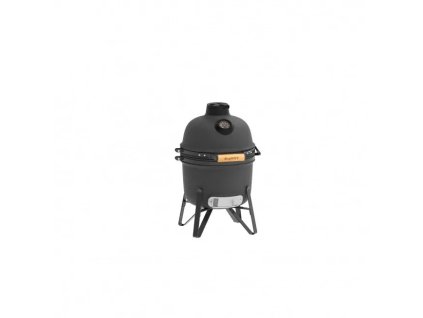 vyr 2023 web 2415711 001 11fd