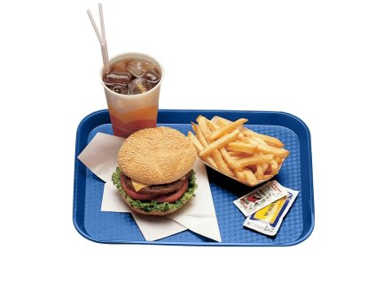 vyr 3031 1014FF186 cambro fastrfood modry