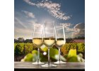 Sklenice na Chardonnay