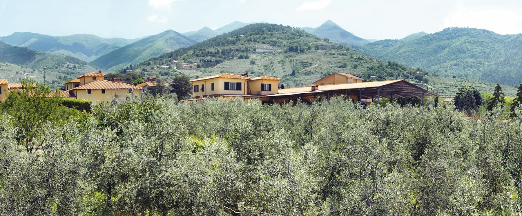 Frantoio di Santa Téa