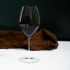 Sklenice Riedel Performance Shiraz a Syrah 631 ml, set 2 ks křišťálových sklenic 2