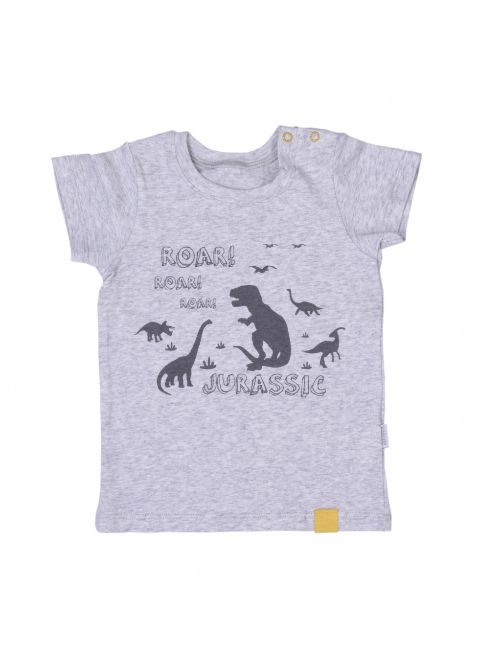 Tričko s krátkým rukávem Dinosauři_S85846 (Barva & Vzor MENTOLOVÁ, Velikost 12 - 18 MĚSÍCŮ)