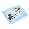 Plastový úložný box s víkem KEEEPER 15l Mickey