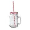 Sklenice s brčkem TORO Mason 450ml MIX barev