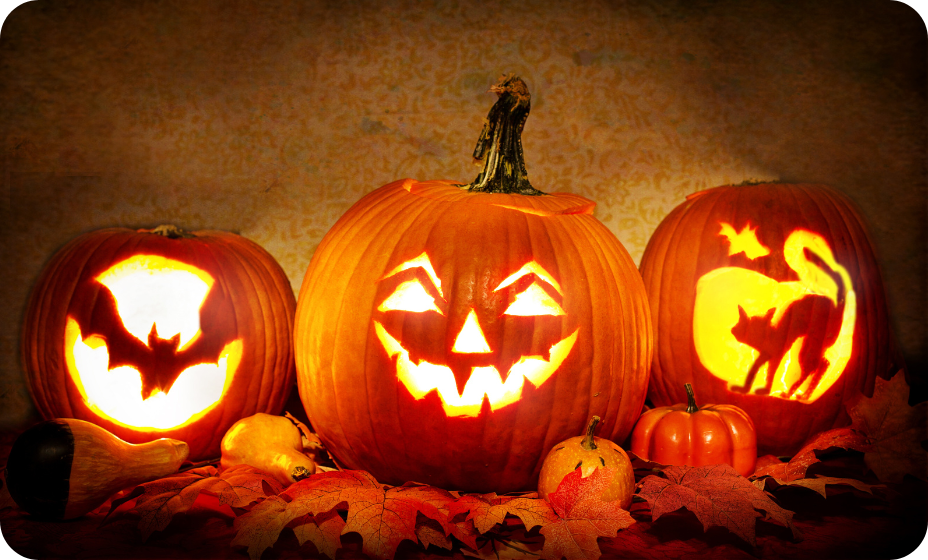 Jesenné tekvicobranie