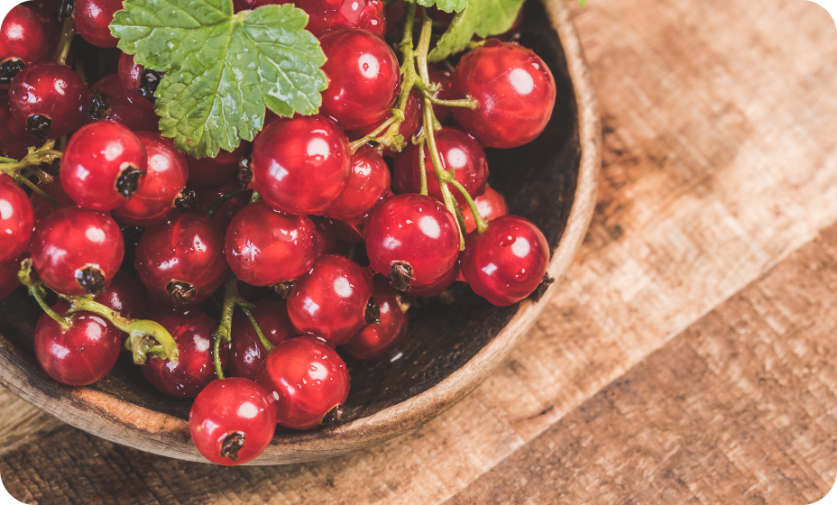 Ríbezľová sezóna - kyselkavé poklady leta