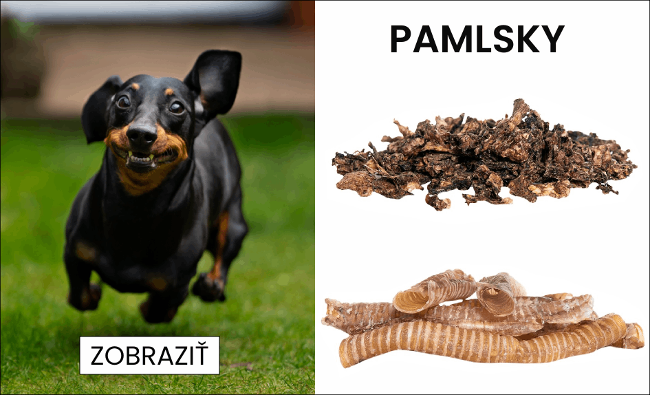 Psie pamlsky