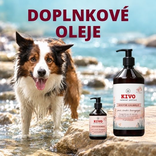 Doplnkové oleje