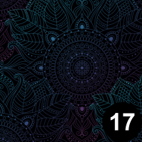 17
