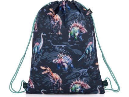Sportovní vak (gymsack) Topgal RAMY 25026