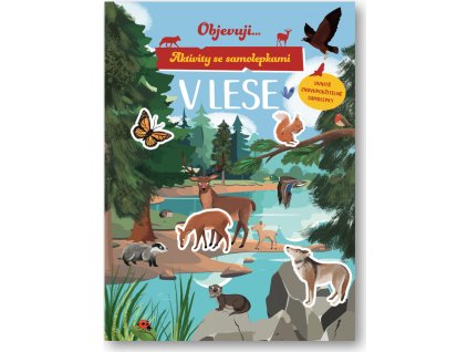 987252a3e2a3a6ea98c973d9bd64ad4a