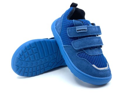 Protetika Alex Azuro