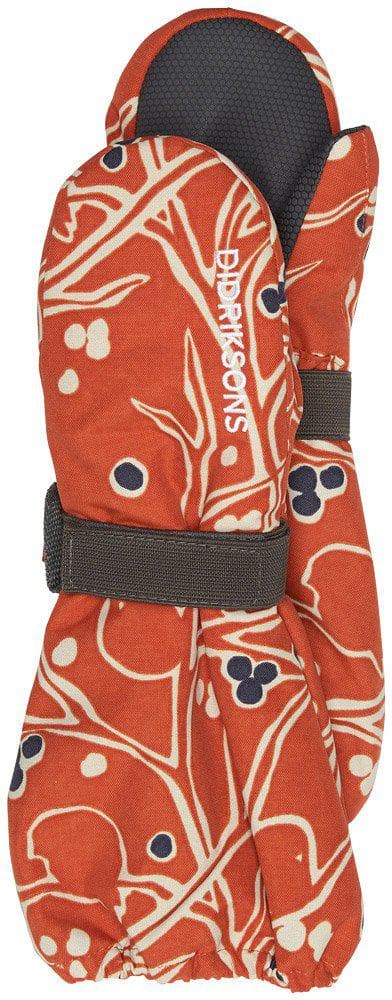 Dětské zimní rukavice Didriksons Biggles Print Rost Velikost: 2 - 4 roky