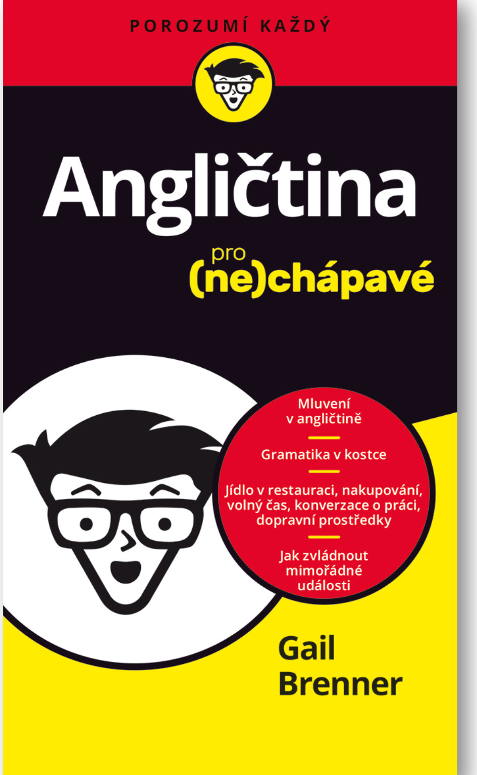 Levně Svojtka Angličtina pro nechápavé Gail Brenner