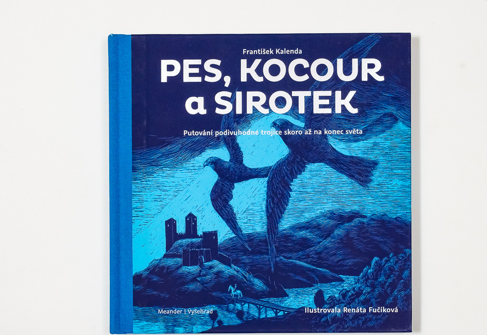 Meander Pes, kocour a sirotek