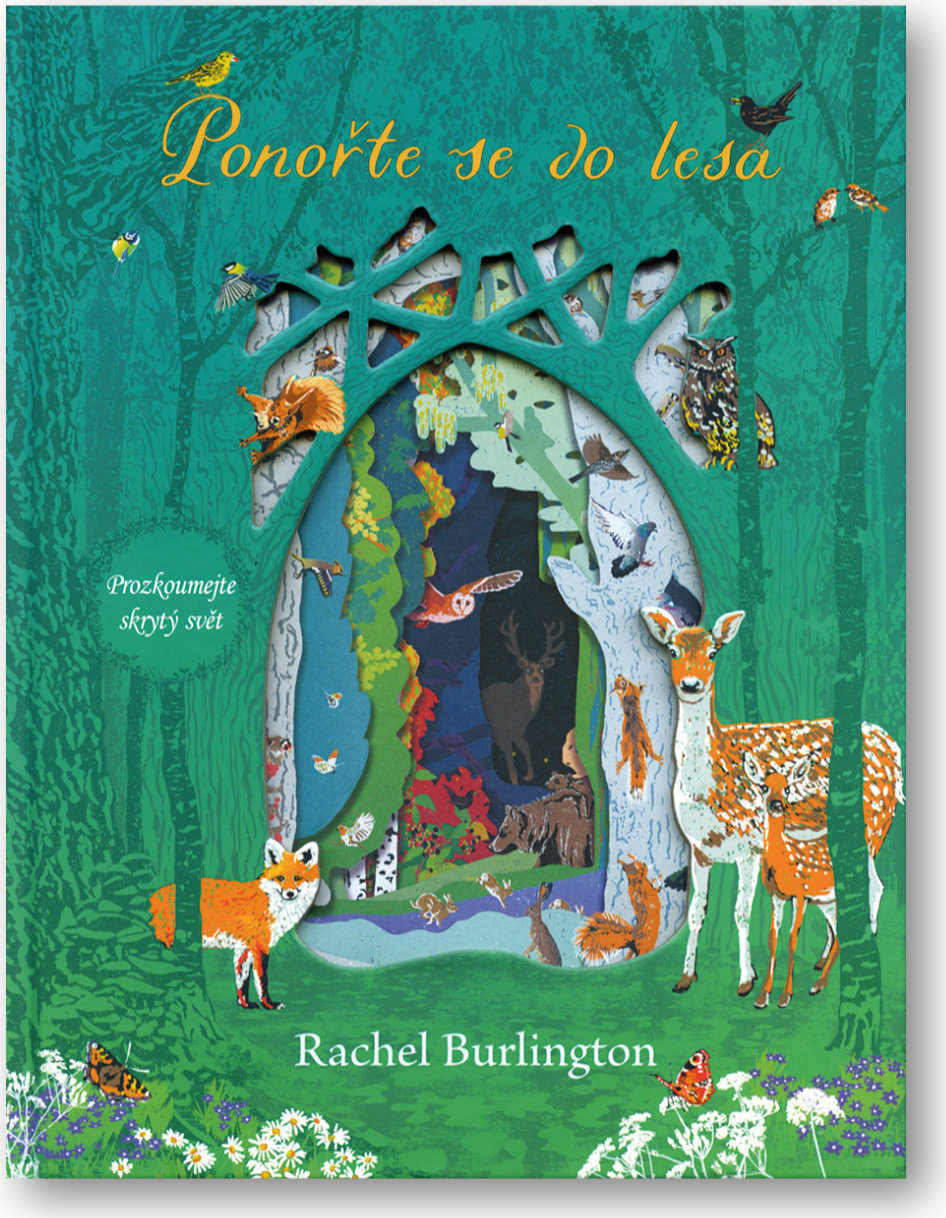 Levně Ponořte se do lesa Rachel Burlington