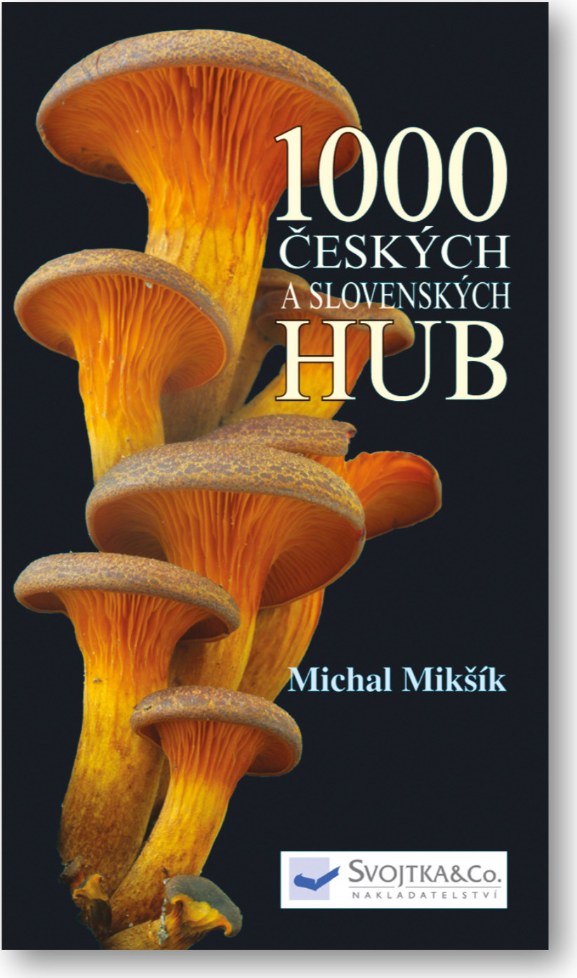 1000 českých a slovenských hub Michal Mikšík