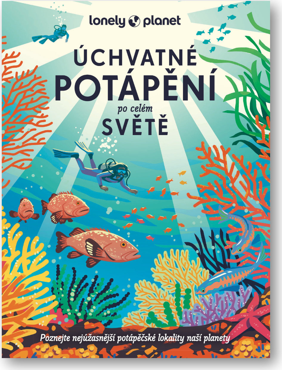 Levně Úchvatné potápění po celém světě