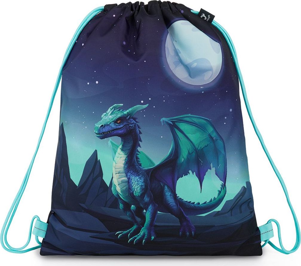 Levně Sportovní vak (gymsack) Topgal RAMY 26056