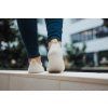 Barefoot tenisky Be Lenka Elevate - Ivory White