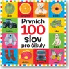Prvních 100 slov pro šikuly