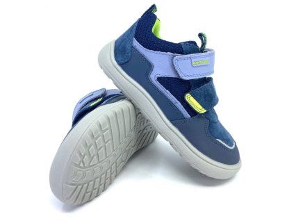 Protetyka Kameron Navy