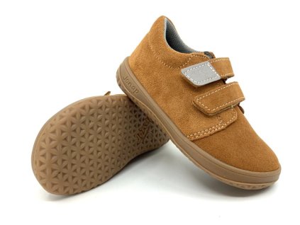 Jonap B1 Škoricová