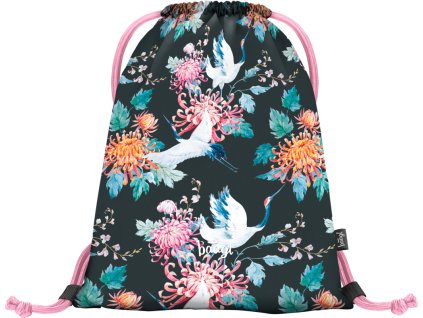 20993 baagl sacek birds