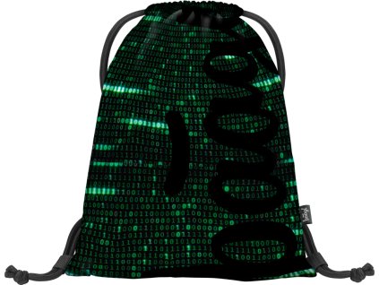 20999 baagl sacek numbers