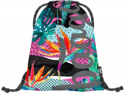 18026 baagl sacek skate fresh