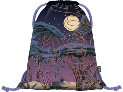 20981 baagl sacek skate night