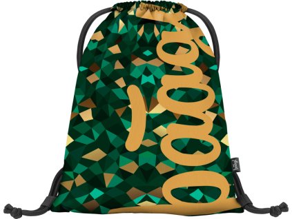 20975 baagl sacek skate polygon