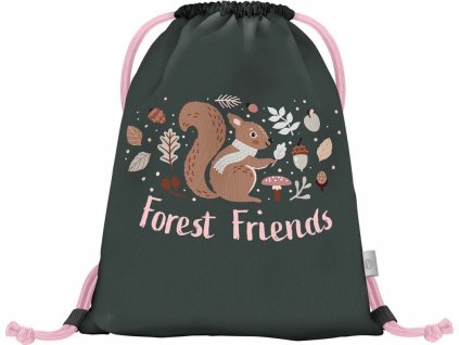 18638 baagl sacek veverka