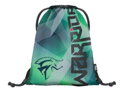 22513 baagl sacek warrior