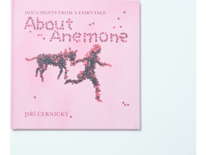 43813 meander o sasance anglicky